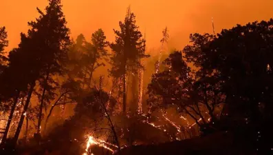 761 yangının tamamı kontrol altına alındı