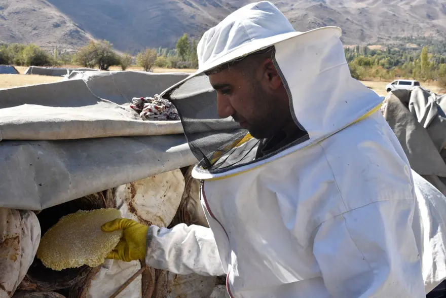 Yaylalarda üretilen karakovan balının hasadına başlandı 2