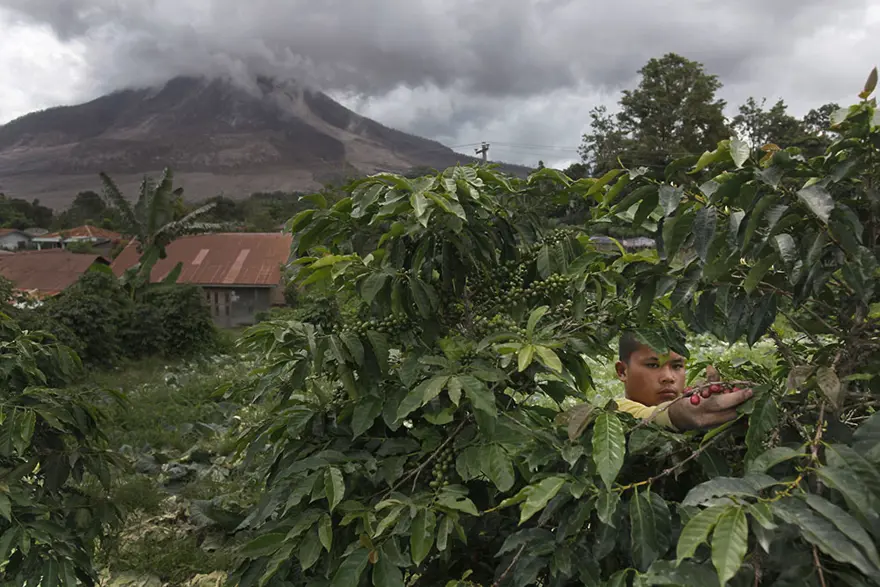 Sinabung  korku püskürtüyor! 4