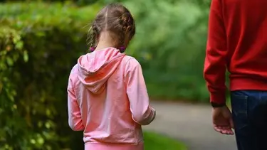 Çocuk teslimine ilişkin yönetmelik, Resmi Gazete'de