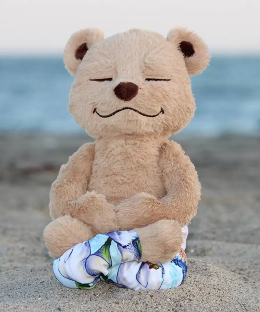İnternetin yeni fenomeni Yogi Ayı Meddy Teddy 4