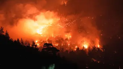 Bursa-Balıkesir sınırında orman yangını kontrol altında