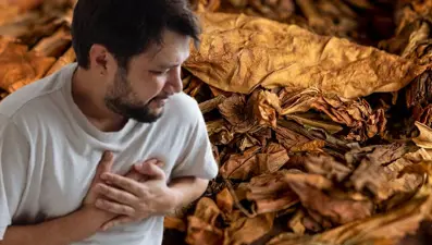 Dünyanın her yerinde gittikçe popüler hale geliyor ama sağlığa zararları inanılmaz! Hükümet yasaklanması için düğmeye bastı