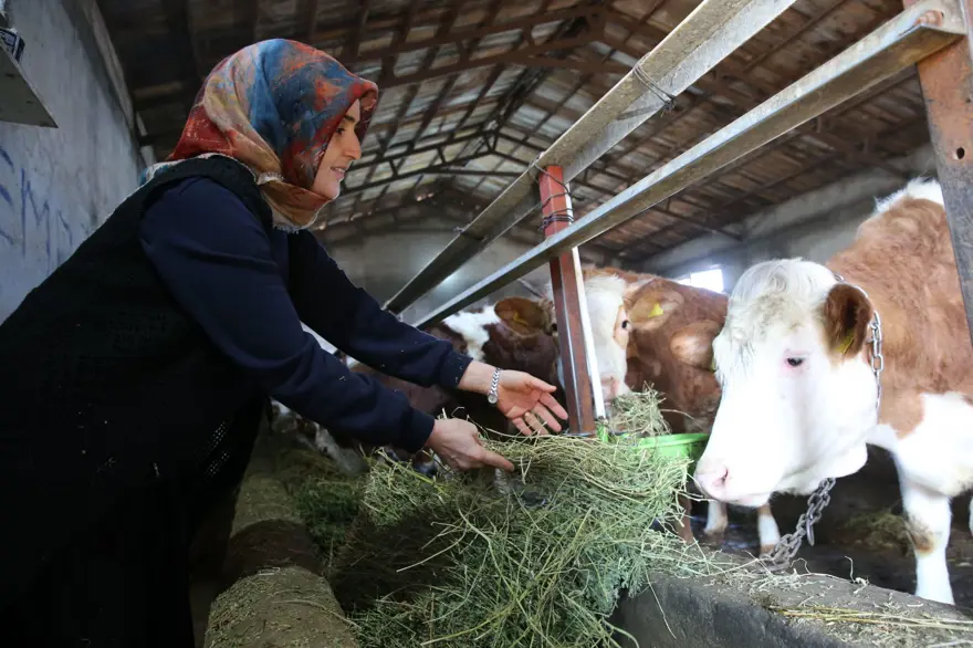 250 bin lira hibe desteğiyle 2 yılda 6'ya katladı: Üretip tüm ilçeye satıyorlar 8