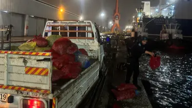 Kaçak midyelere el konuldu