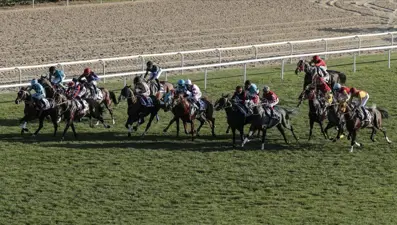 At yarışlarında yenilikler! Yarış ikramiyesi artıyor, VAR sistemi geliyor!