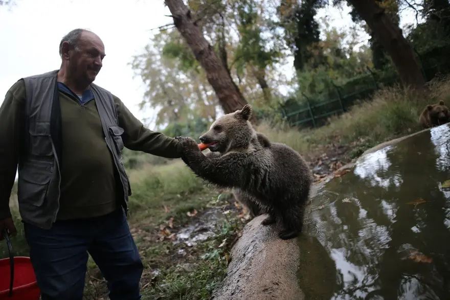 Türkiye'nin tek ayı barınağı Ovakorusu'nun maskotu oldular 25