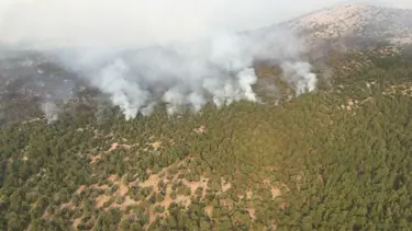 Meteoroloji'den iyi haber: Yangın bölgesinde nem artacak
