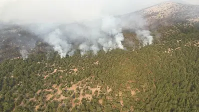 Meteoroloji'den iyi haber: Yangın bölgesinde nem artacak