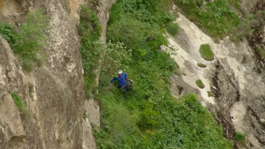 &quot;Yılan otu&quot; olarak da biliniyor, ölüme meydan okuyup topluyorlar: Hastalıkların şifası bitki 6