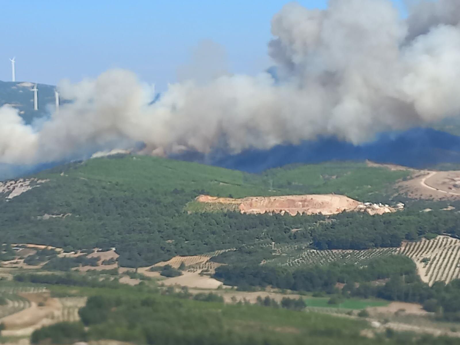 Manisa Soma'da orman yangını
