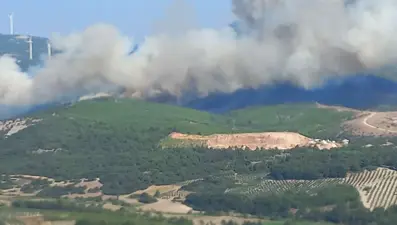 Manisa Soma'da orman yangını