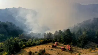 Antalya Kemer'deki orman yangını kontrol altına alındı
