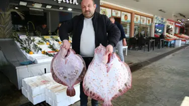 Ordu'daki balık tezgahlarında kalkan bereketi