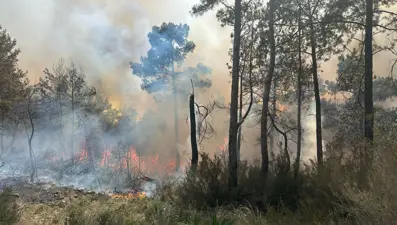Antalya'da orman yangını