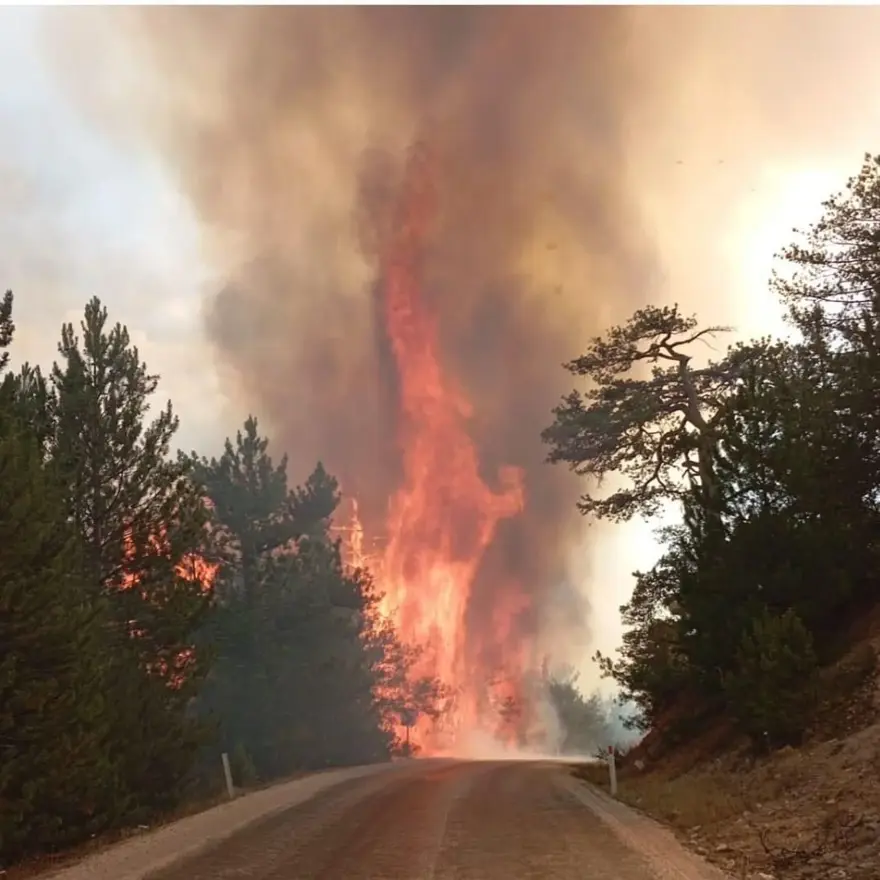 Bolu Göynük'te orman yangını 2