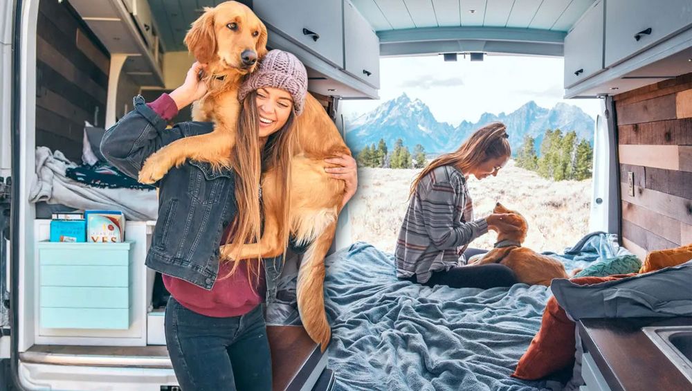 Amerikalı genç gezgin işini bıraktı, sevgilisinden ayrıldı ve köpeğiyle birlikte gezmeye yollara düştü