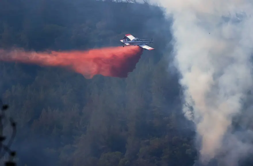 Cumhurbaşkanı Erdoğan: Marmaris'teki orman yangını büyük oranda kontrol altında 72