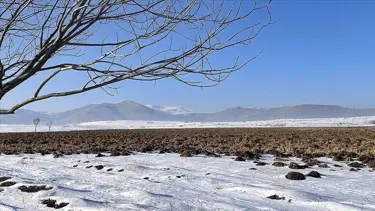 Kuş türlerine ev sahipliği yapan Ardahan'daki Putka Sazlığı dondu