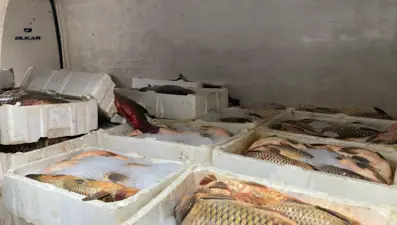 Kaçak balık avına binlerce lira ceza