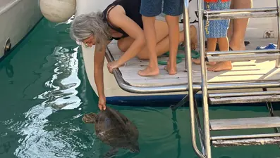 Bitkin halde bulunan deniz kaplumbağası tedaviye alındı