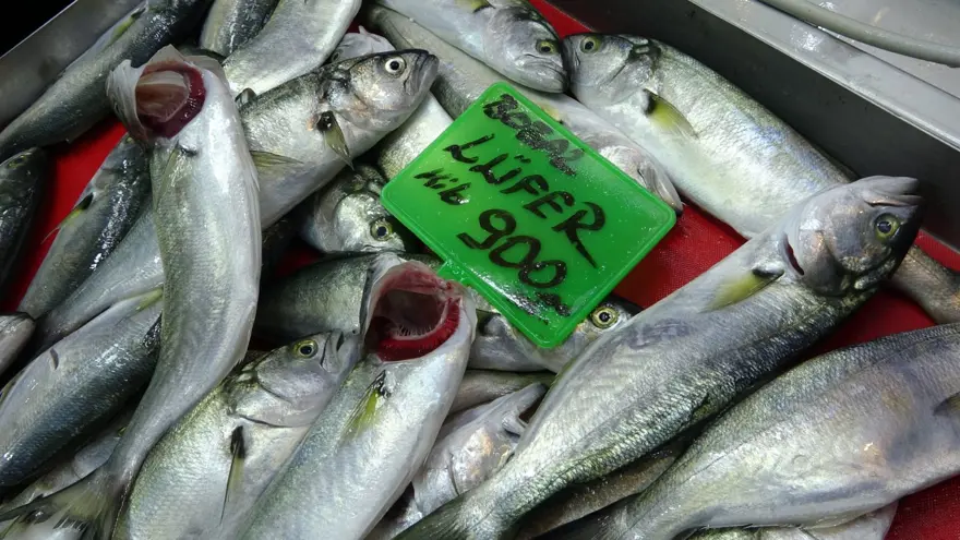 Denizlerin prensi 900 lira: Tezgaha indi, bu sene bol 4 Denizlerin prensi 900 lira: Tezgaha indi, bu sene bol 4