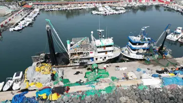 Tekirdağ’da zorunlu müsilaj paydosu