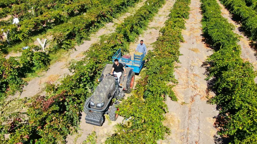 Kendi işini bırakıp baba mesleğine döndü: Şimdi 2 gün çalışarak 5 mühendis maaşı kazanıyor 7