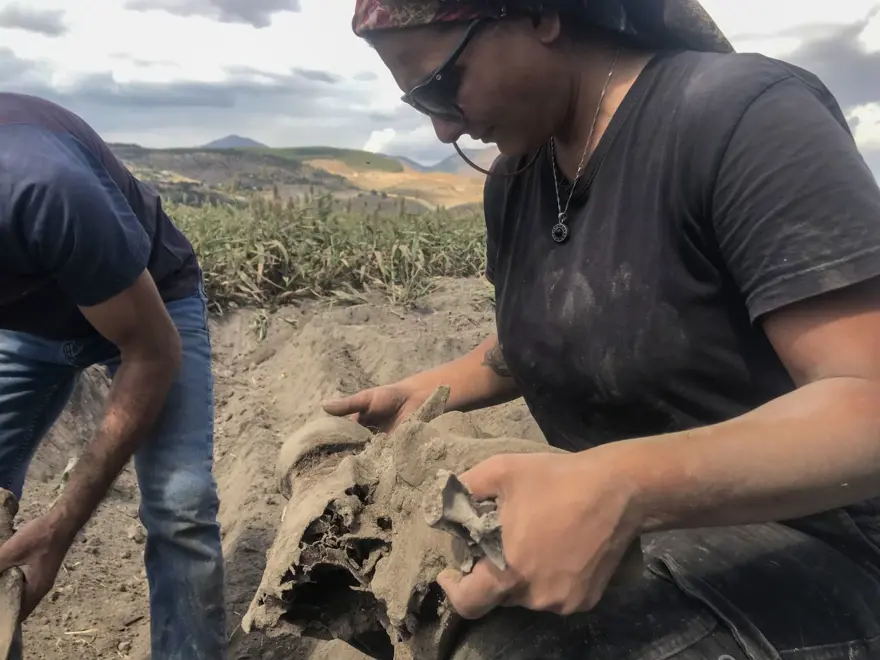 Kahramanmaraş'ta ekim için sürülen tarlada fil fosili bulundu 8