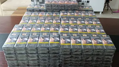 Hatay'da kaçakçılık operasyonu