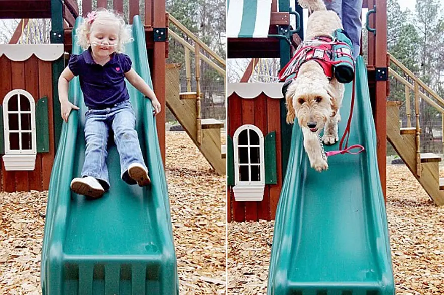 Çocuğun oksijeni köpeğin sırtında 4 Çocuğun oksijeni köpeğin sırtında 4