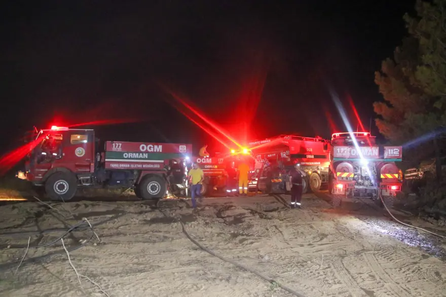 Çanakkale, Uşak, Antalya ve İzmir'de  orman yangını 9