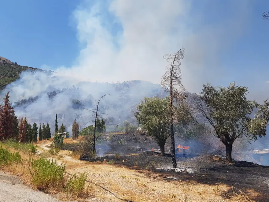 Balıkesir'de orman yangını 8 Balıkesir'de orman yangını 8