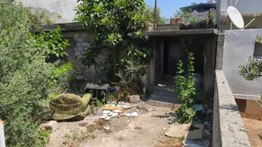 Annesini sopayla döverek öldürdü: Adana'da vahşet