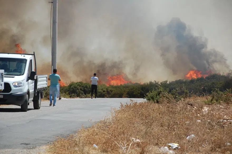Yangın çıkan iller: Antalya, Adana, Mersin,Muğla, Osmaniye ve Kayseri 'de orman yangınları 40