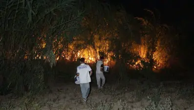 Antalya'da yangın paniği: Kontrol altına alındı