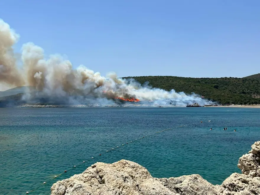 İzmir, Muğla, Balıkesir ve Kahramanmaraş’ta orman yangınları 