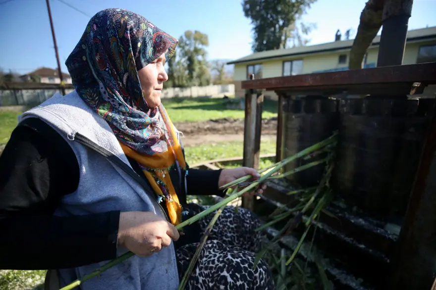 150yıllık mengenede sıkılan şeker kamışlarının pekmez yolculuğu 13 150yıllık mengenede sıkılan şeker kamışlarının pekmez yolculuğu 13