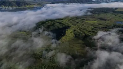 Amazon’da zaman makinesi deneyi: Geleceğin atmosferi test ediliyor