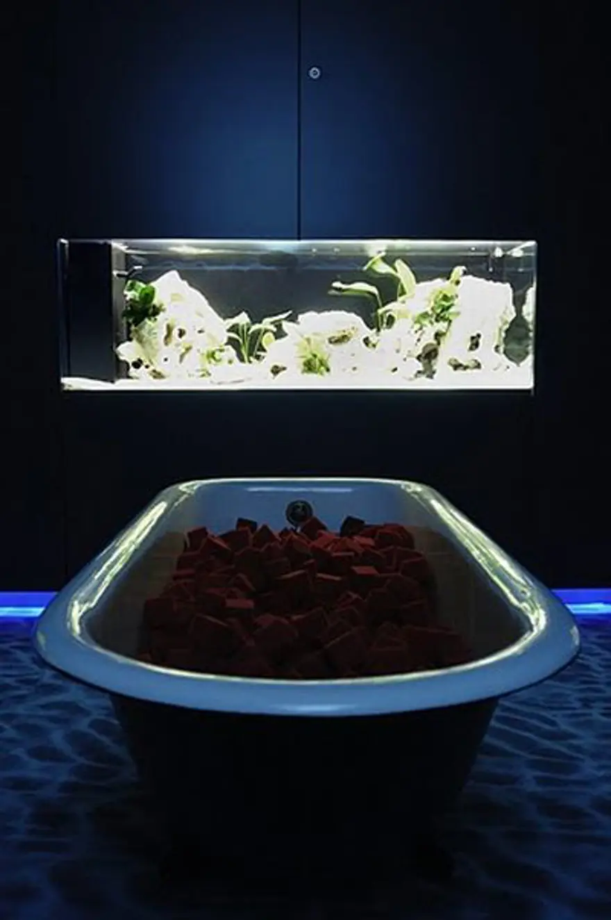 Google'ın Zürih'teki yeni ofisi 41