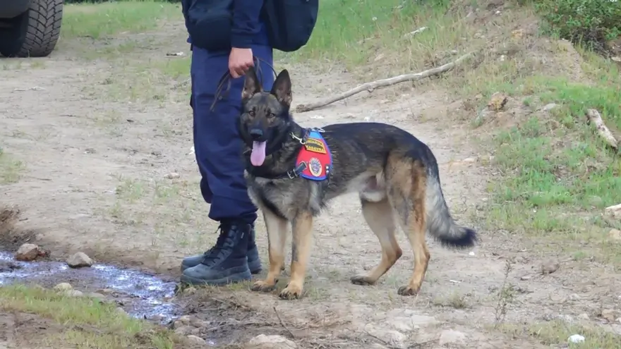 Korhan Berzeg'i arama çalışmalarında yeni bulgu 9 Korhan Berzeg'i arama çalışmalarında yeni bulgu 9