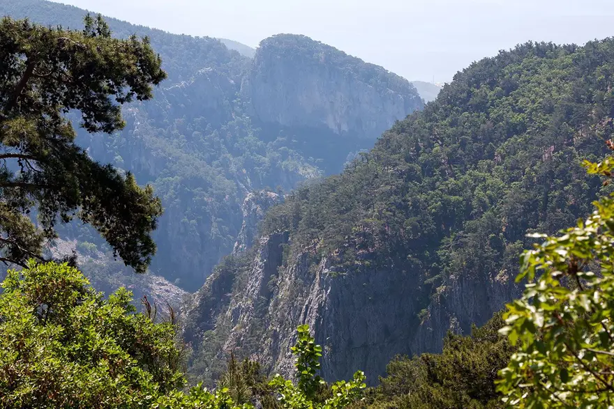 KAZDAĞLARI / ÇANAKKALE-BALIKESİR 8