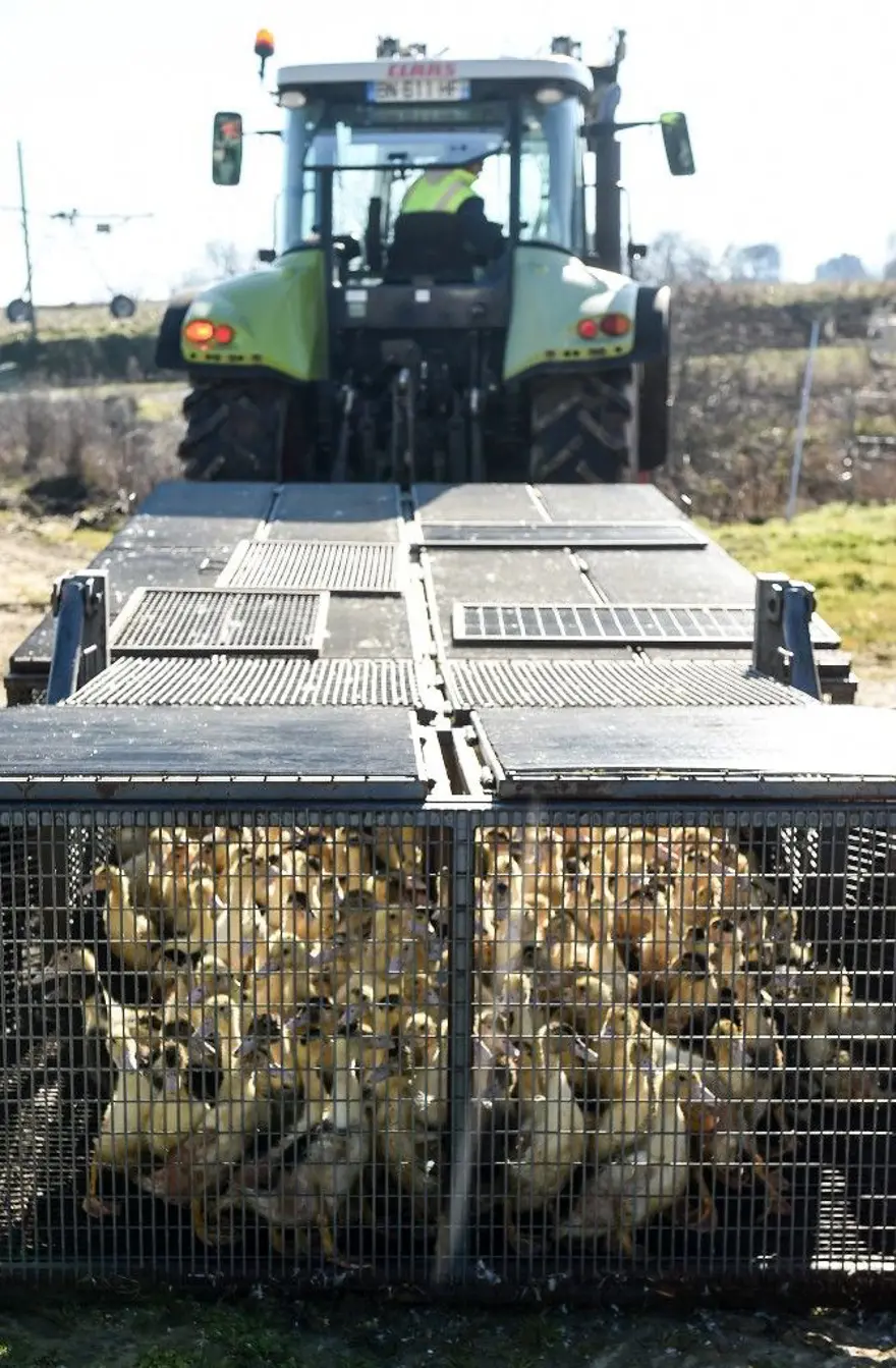 Bilim insanları yeni pandeminin kaynağını ve tarihini açıkladı: Covid-19'dan daha ölümcül olacak 5 Bilim insanları yeni pandeminin kaynağını ve tarihini açıkladı: Covid-19'dan daha ölümcül olacak 5