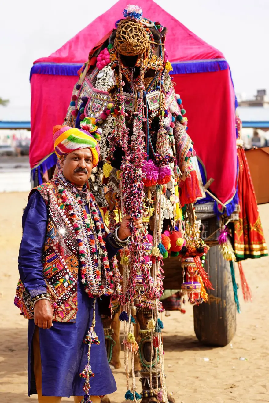 Hindistan'da geleneksel Pushkar Deve Festivali gerçekleştirildi 12 Hindistan'da geleneksel Pushkar Deve Festivali gerçekleştirildi 12