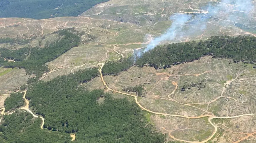 Muğla, Adana ve Çeşme'de orman yangını 4