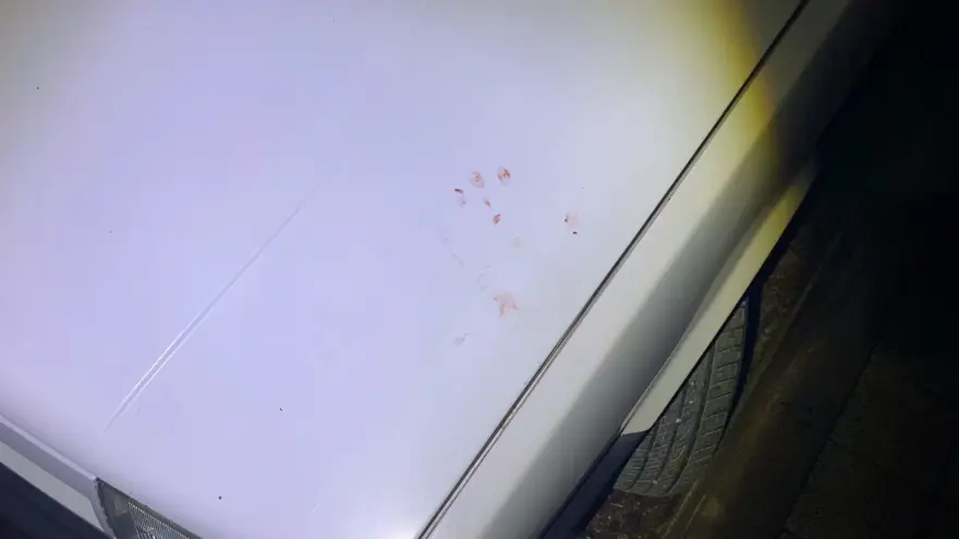 Aracın lastiklerini keserken kendini de yaraladı 