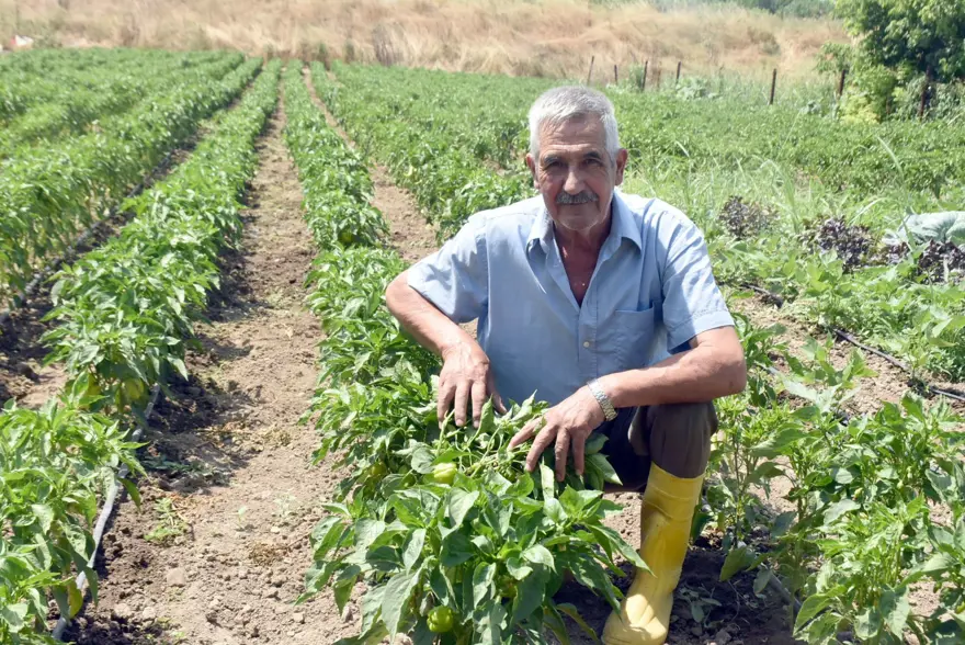 “50 YILDIR BÖYLESİNİ GÖRMEDİM” 6 “50 YILDIR BÖYLESİNİ GÖRMEDİM” 6