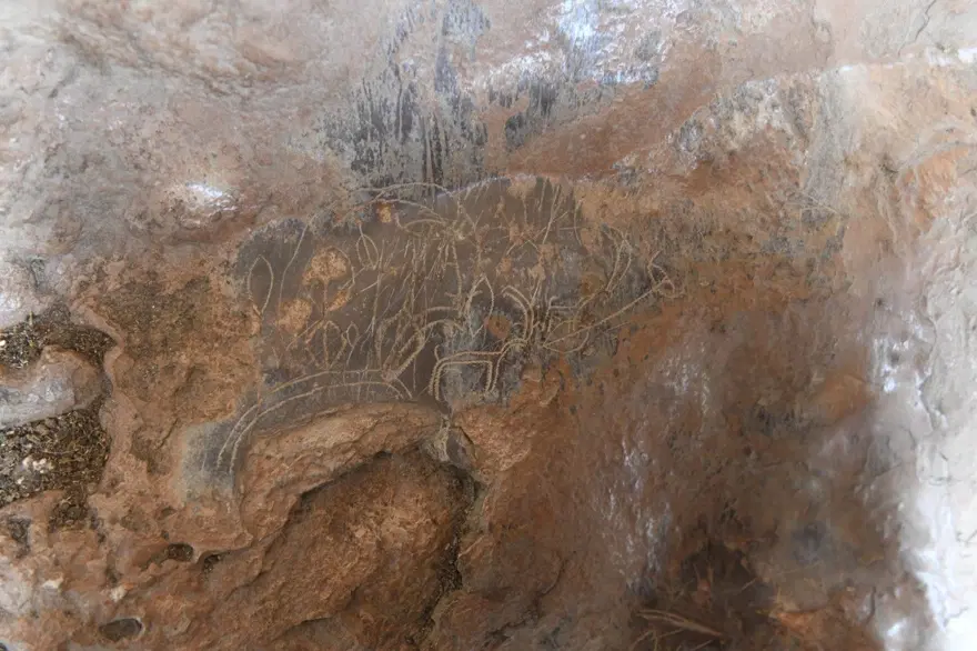 Mersin’de bir mağarada bulunan 8 bin yıllık kaya resimleri koruma altına alınıyor 6