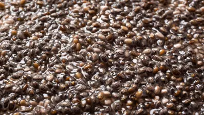 Doğal cilt temizleyici: Chia tohumu maskesi