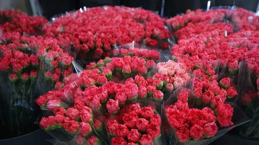 ANNELER GÜNÜ TARİHÇESİ 2